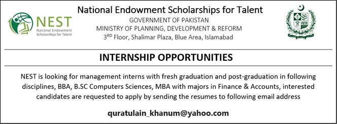 NEST Internship Opportunities for Fresh Graduates and Post-graduates